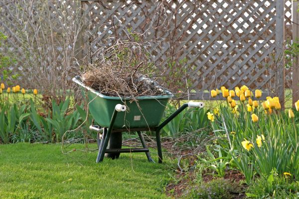 Flower Bed Cleanup Service in Snohomish
