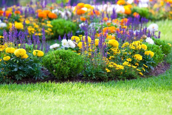 Flower Bed Maintenance in Snohomish