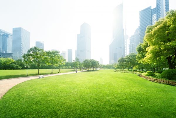 Commercial Landscape Maintenance in Snohomish