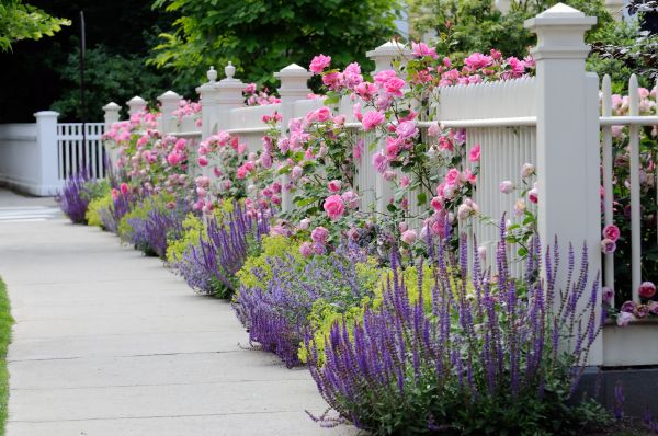 Garden Handyman Service in Snohomish