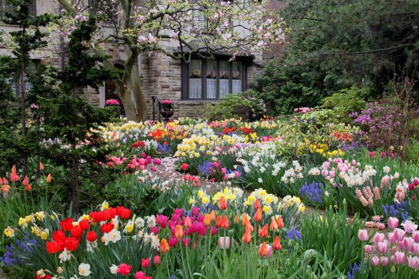 Garden Maintenance Service in Snohomish