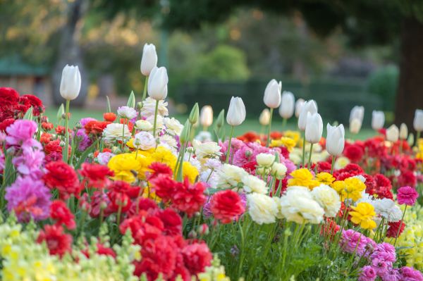 Gardening Service in Snohomish