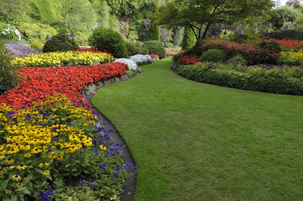 Landscaping Maintenance in Snohomish
