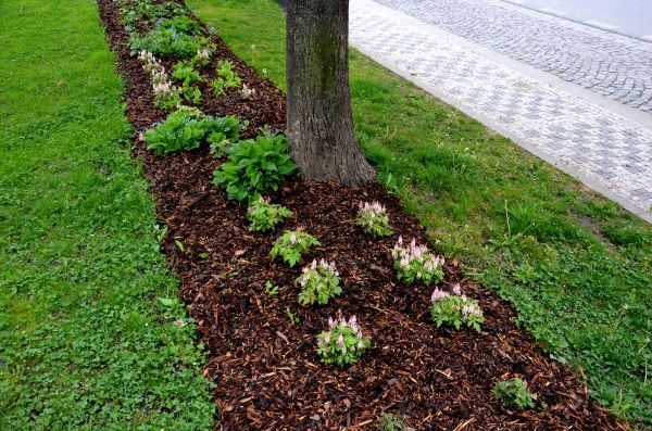 Mulch Replacement Service in Snohomish