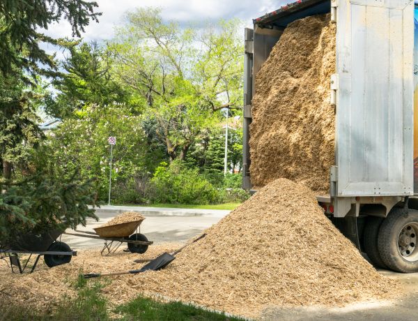 Wood Chips Delivery in Snohomish