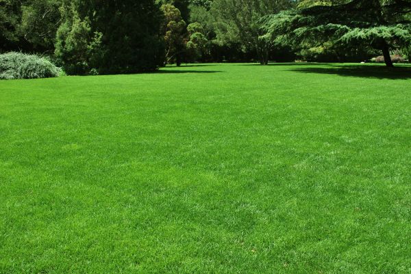 Lawn Landscaping in Snohomish