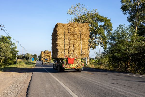 Pine Straw Delivery in Snohomish