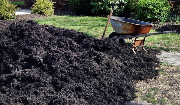 Black Mulch Delivery in Snohomish