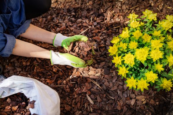 Garden Mulching in Snohomish