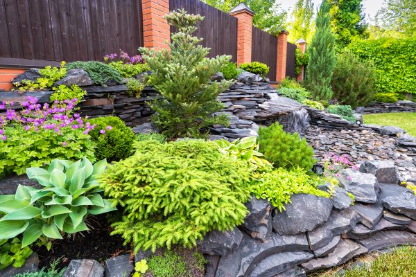Landscape Remodeling in Snohomish
