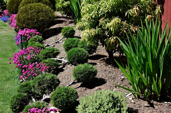 Residential Gardening in Snohomish