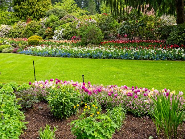Residential Landscape Design in Snohomish