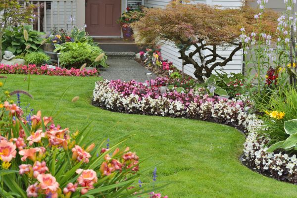 Perennial Landscaping in Snohomish