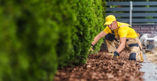 Cypress Mulch Installation in Snohomish
