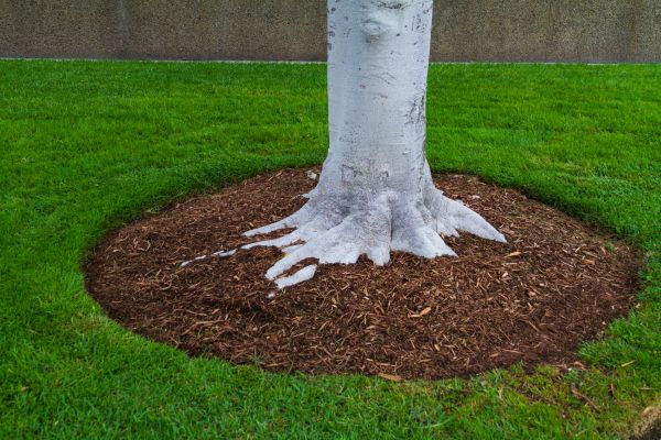 Brown Mulch Installation in Snohomish