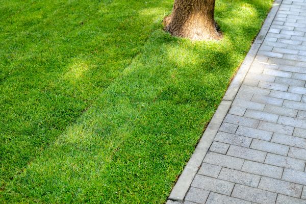 Border Stone Installation in Snohomish