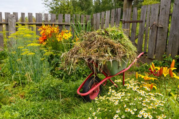 Garden Cleanup Service in Snohomish