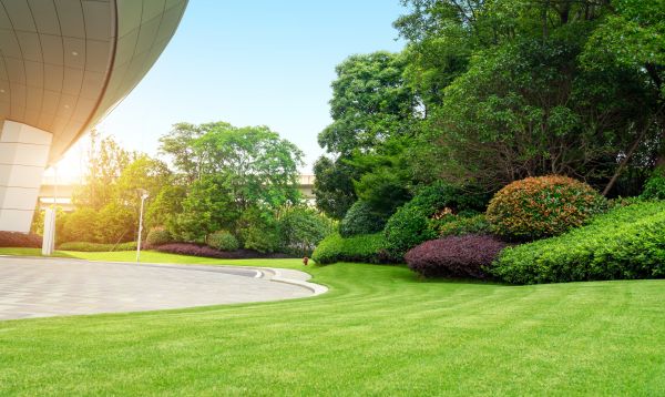 Business Landscape Design in Snohomish