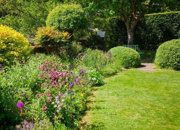 Yard Landscaping Service in Snohomish