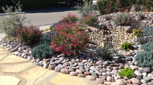 Xeriscape Landscaping in Snohomish