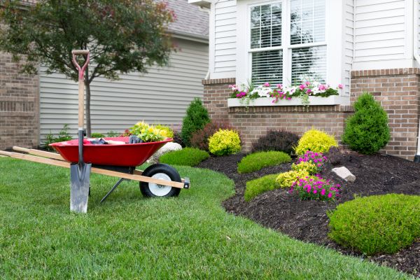 Tree And Shrub Planting in Snohomish
