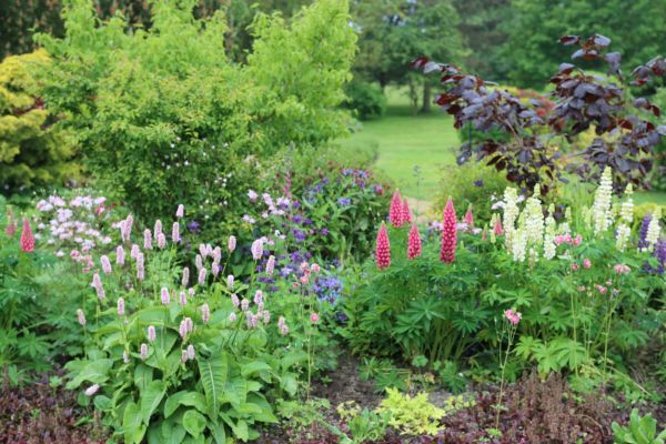 Flower Bed Planting in Snohomish