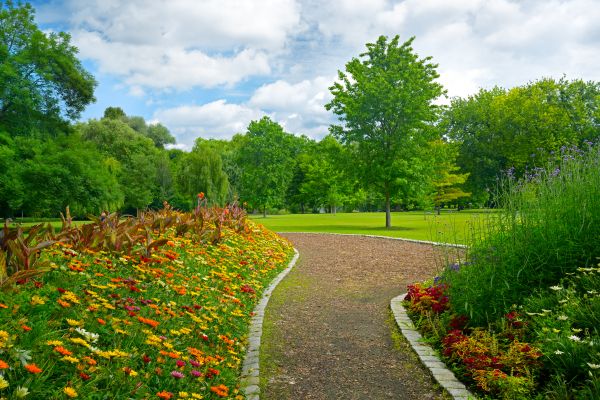Park Landscaping in Snohomish
