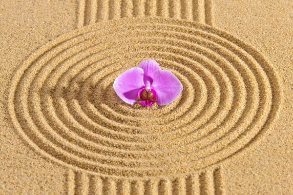Sand Garden Landscaping in Snohomish