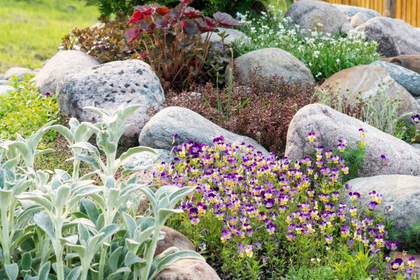 Rock Garden Installation in Snohomish