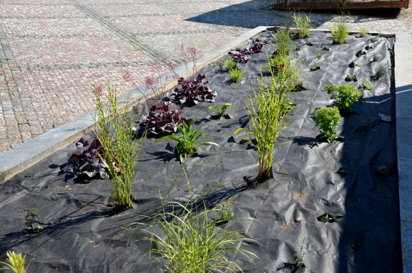 Landscape Fabric Installation in Snohomish
