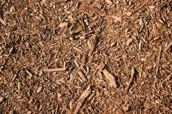 Wood Chips Removal in Snohomish