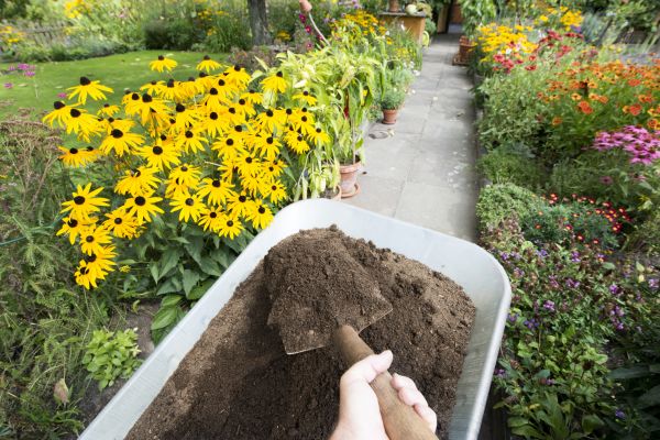 Topsoil Replacement in Snohomish