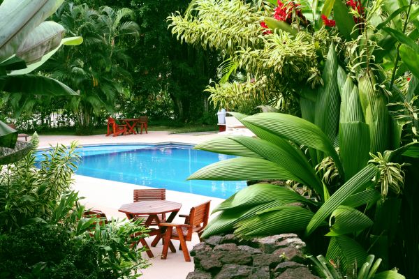 Pool Area Landscaping in Snohomish