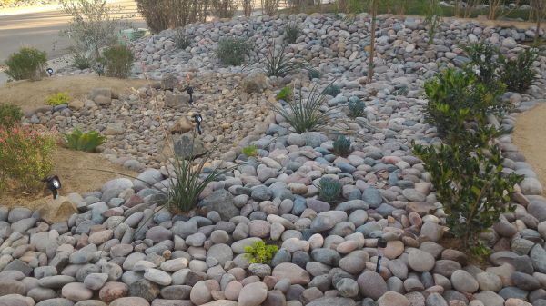 Yard Xeriscaping in Snohomish