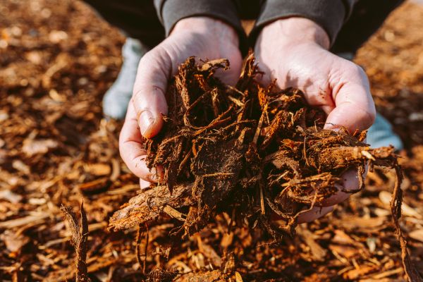 Bark Chips Delivery in Snohomish