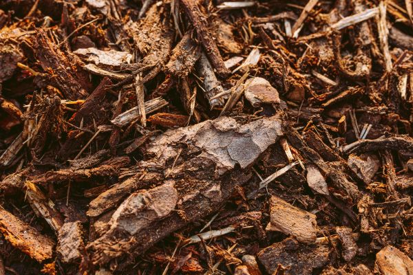 Bark Mulch Delivery in Snohomish