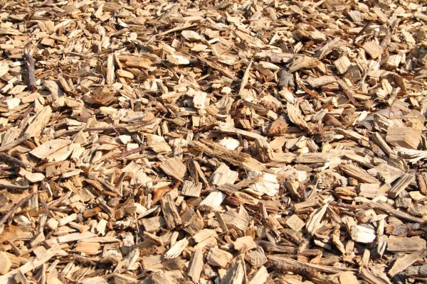 Wood Mulch Delivery in Snohomish