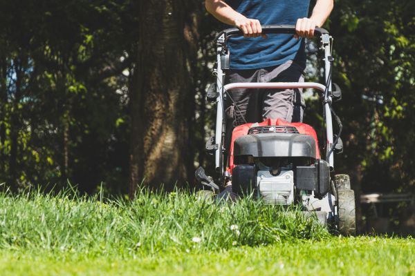 Garden Trimming Service in Snohomish