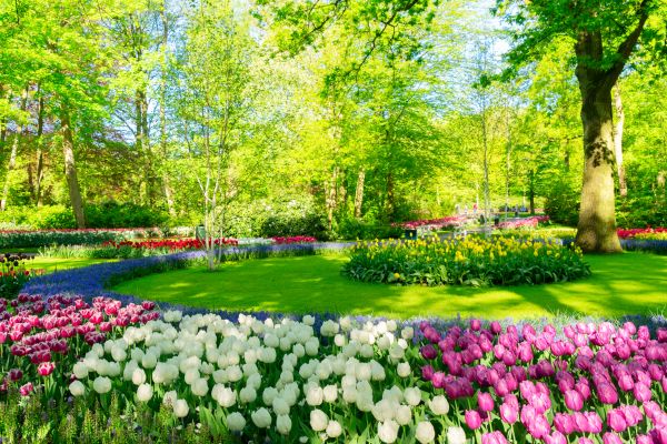 Flower Landscaping in Snohomish