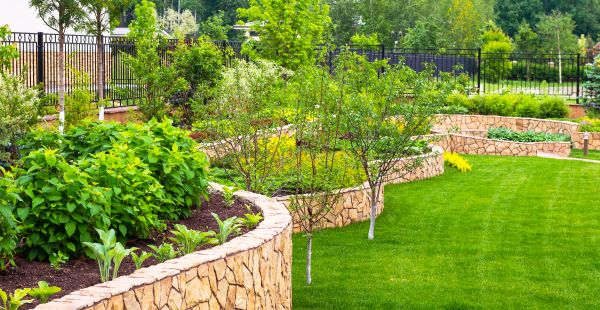 Yard Makeover Service in Snohomish