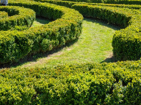 Bush Landscaping in Snohomish