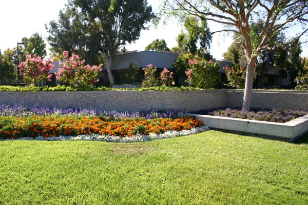 Commercial Landscape Service in Snohomish