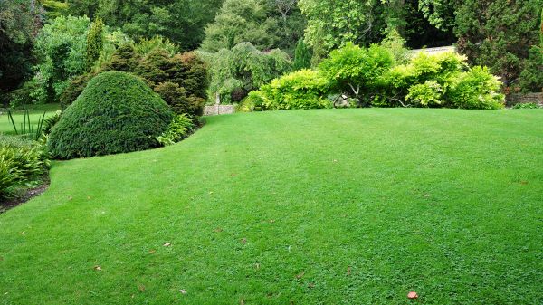 Commercial Landscape Design in Snohomish