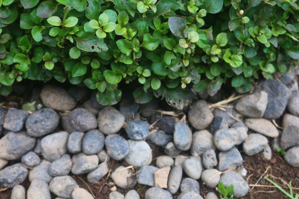 River Stone Installation in Snohomish