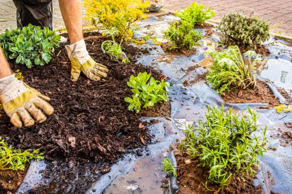Mulch Fabric Installation in Snohomish
