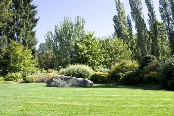 Yard Enlargement in Snohomish