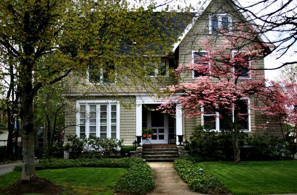 Ornamental Tree Planting in Snohomish