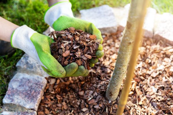 Tree Bark Delivery in Snohomish
