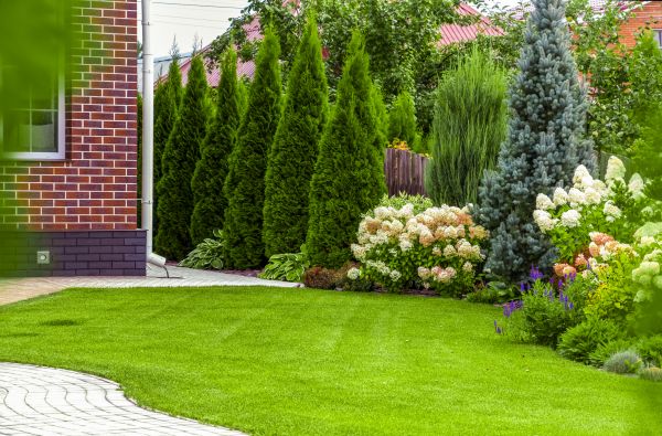 Spring Landscaping in Snohomish