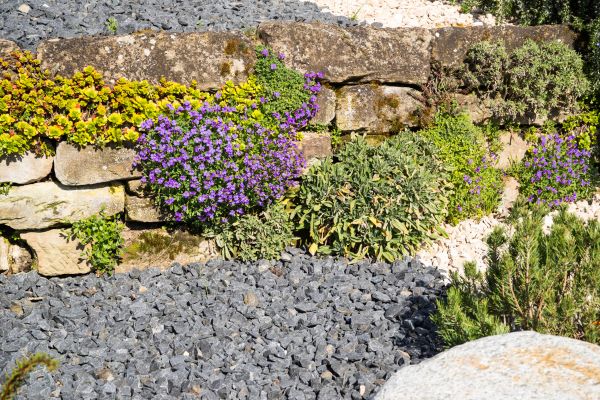 Landscaping Rocks Installation in Snohomish